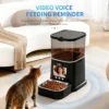 pet feeder video voice feeding reminder reduces separation anxiety for pets left home alone