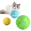 automatic interactive pet toy with on off safety switch prevents accidental activation by pets
