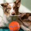 remote control pet ball 10m range no dirty hands bouncing teasing dog