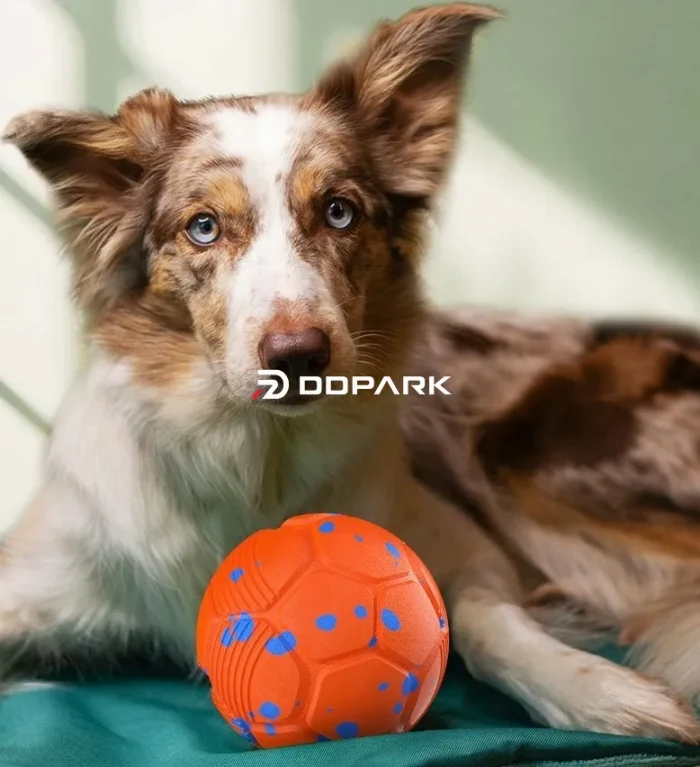remote control pet ball 10m range no dirty hands bouncing teasing dog
