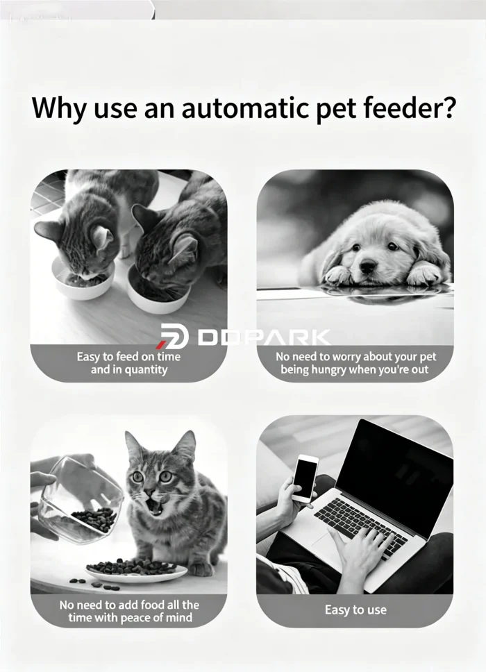 real time video app remote watch cat status remote voice call cat to eat HD sharing