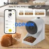 Long battery life smart pet feeder, 3 D-cell batteries power backup, USB Type-C cable automatic feeder, low power consumption cat food dispenser
